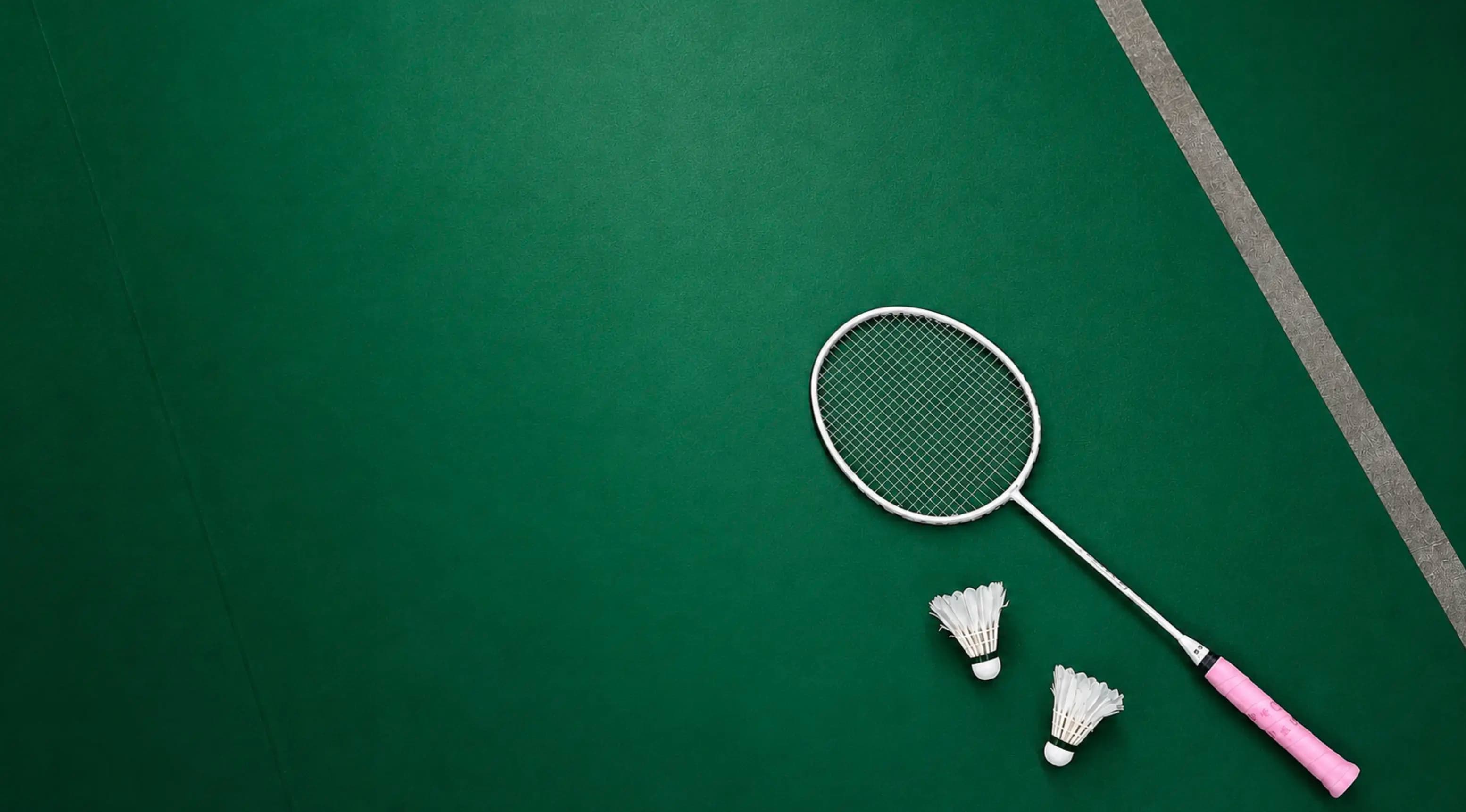 Mizano badminton courts