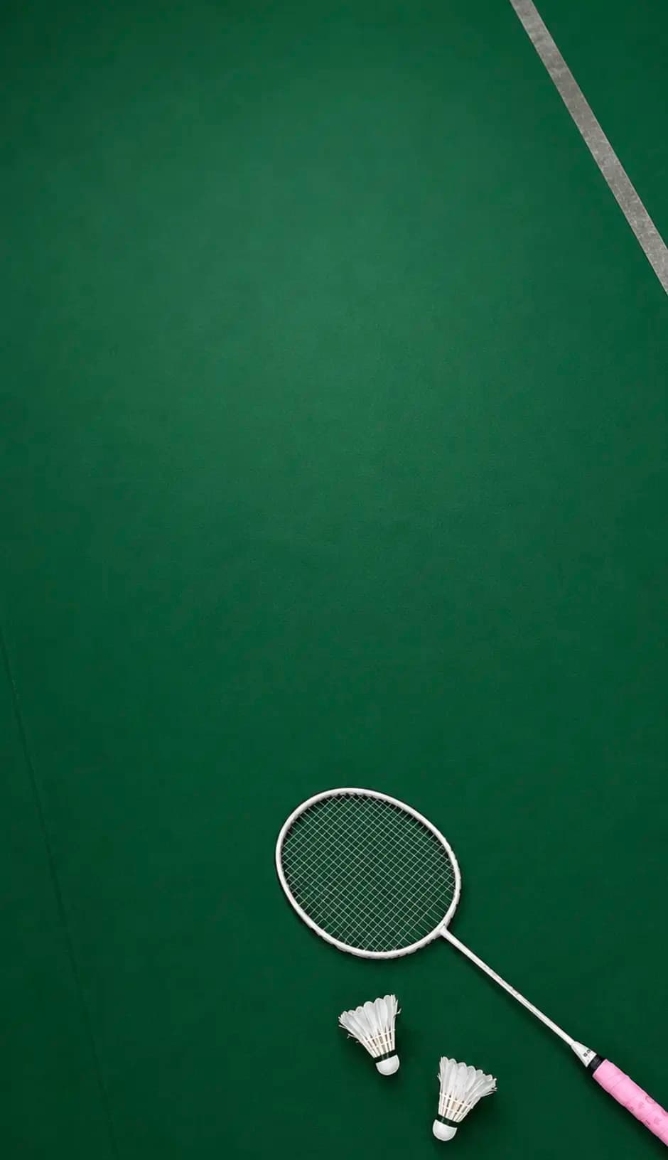 Mizano badminton courts